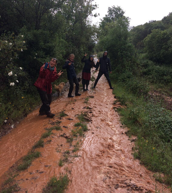 CLIMATE CRISIS MITIGATION